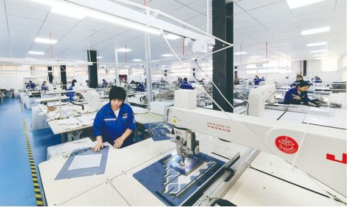 南樂(lè)縣集團(tuán)化戰(zhàn)略引領(lǐng)新材料服裝創(chuàng)新與就業(yè)增長(zhǎng)